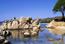 黑白官方体育:18岁斯凯利本场:首秀破门!3次对抗全部成功,1过人,获评7.7分.